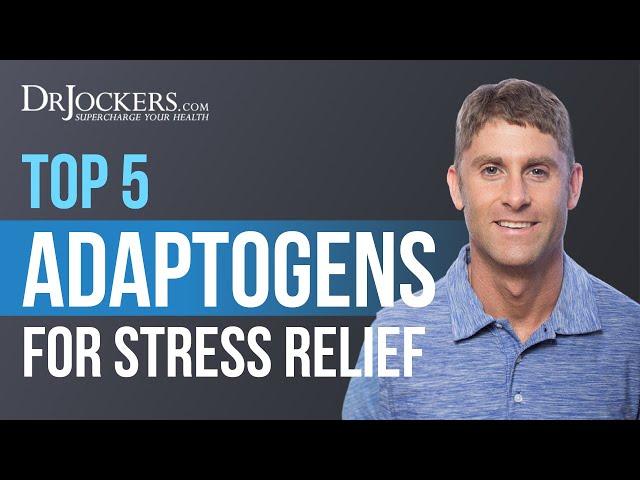 Top 5 Adaptogens For Stress Reduction