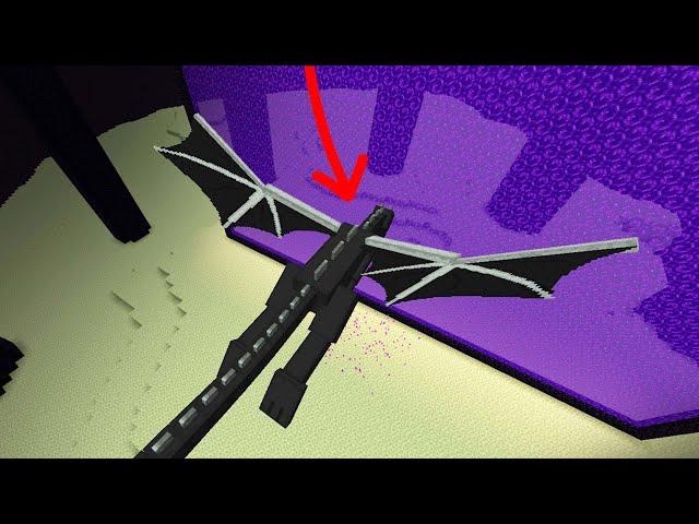 what if the ender dragon goes to nether?