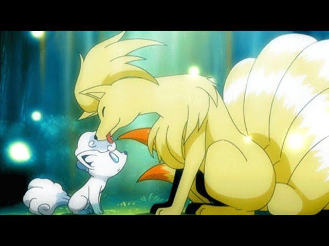 Alolan Vulpix meets Kanto Ninetales  || Cute Moment || Pokemon Sun and Moon