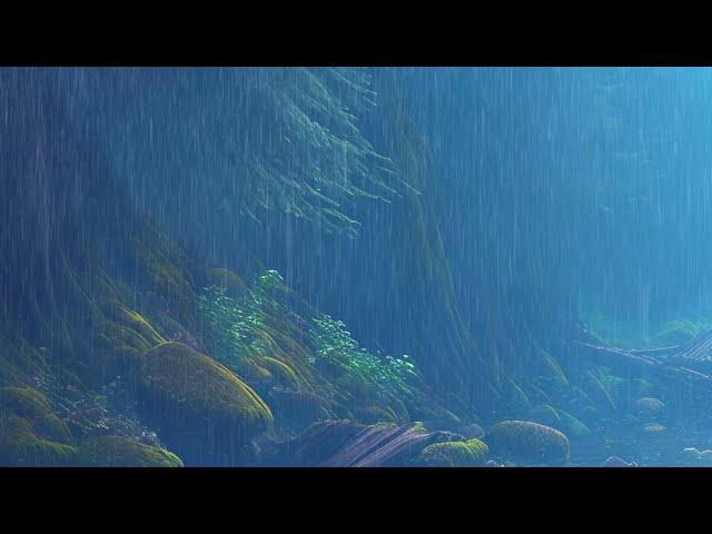 Rain Sounds in a Forest for Relaxation and Sleep