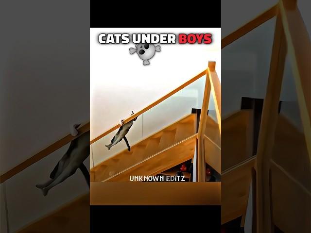 Cats Under Girls Vs Boys... #trollface #edit #cat #cats #girl #boy #editing #catshorts