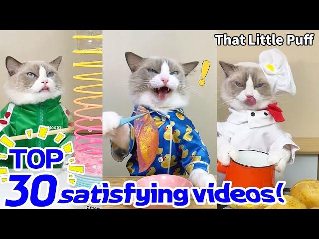 TOP 30 satisfying videos! | That Little Puff