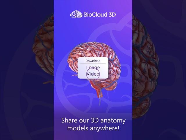 BioCloud 3D by Intervoke. #3danatomy #humananatomy