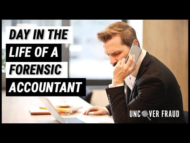 A day in the life of a Forensic Accountant  (How I spend my day)