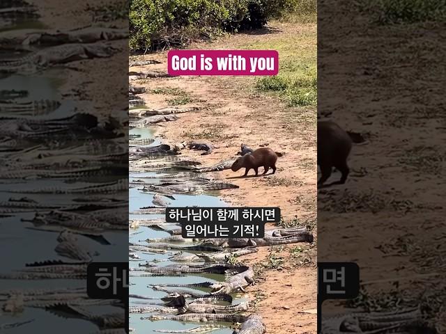 하나님이 함께 하시면 일어나는 기적