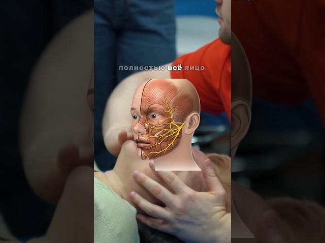 Нарушение работы тройничного нерва | АПК #обучениекинезиологии #тройничныйнерв