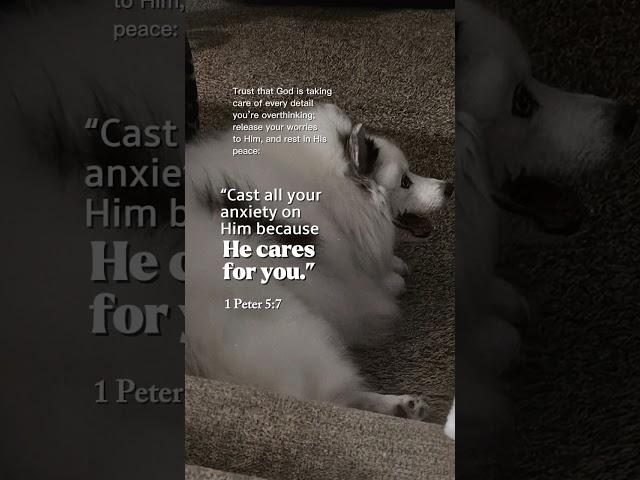 Bible verse with shylo  #dogsofyoutube #pets #bibileversetoday #verses