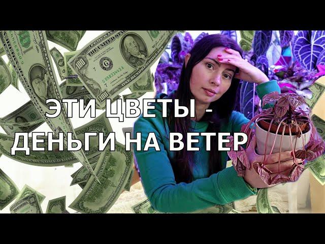 ТОП 10 самых капризных комнатных растений - Берегись напрасных трат!