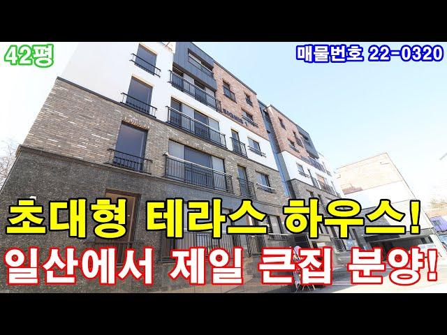 일산신축빌라 분양 42평 탄현역세권+초대형 테라스+안방같은 큰방3개+호텔급 욕실2개+보조주방 시공+최고급 풀옵션+일산에서 최고 큰집 매매