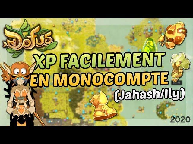 DOFUS - XP RAPIDEMENT/FACILEMENT EN MONOCOMPTE ? PERSO DISTANCE - ELIOTROPE ! (JAHASH/ILY)