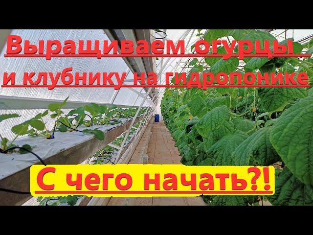 Переходим на гидропонику  С чего начать?!