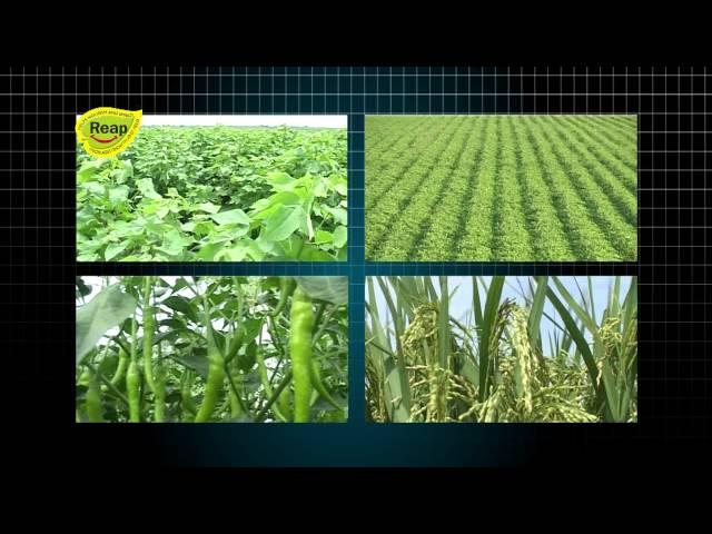 NriGujarati.Co.In - Cosavet Fertis for Better Soil Management by Sulphur Mills Ltd Mumbai India