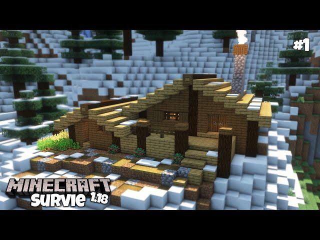 Un DÉBUT de survie totalement PARFAIT ! -Minecraft survie 1.18 #1-