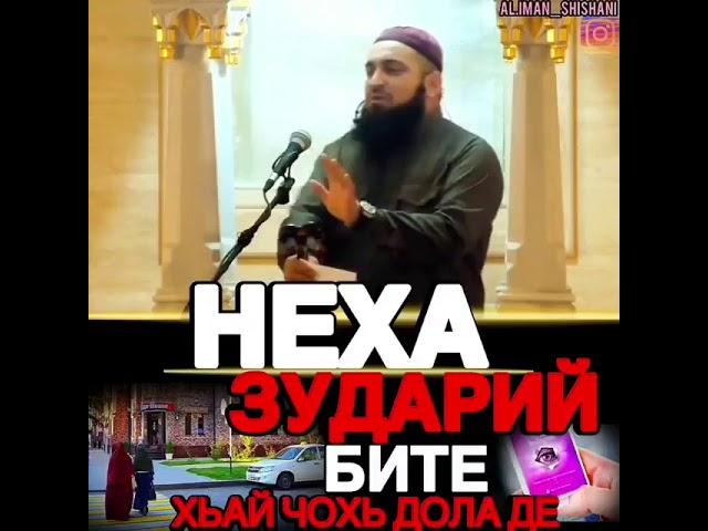 Хьехамаш нохчийн маттахь