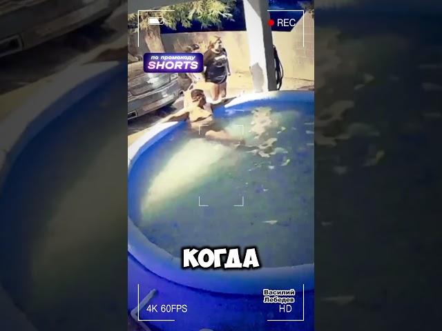 Не дали отдохнуть ‍️