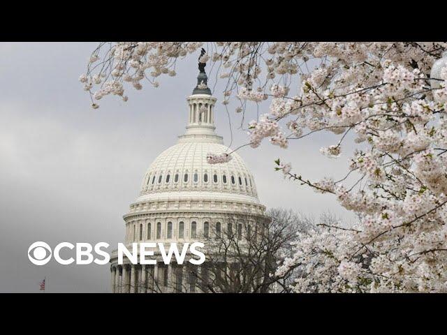 Senate awaits ruling on permanent Trump tax cuts