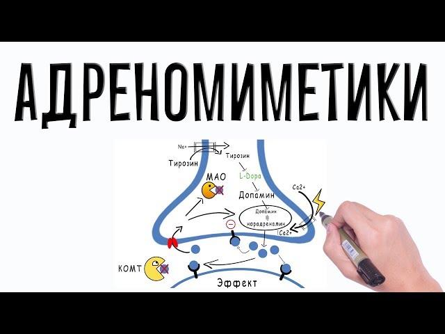 Адренергические агонисты. Фармакология простым языком.