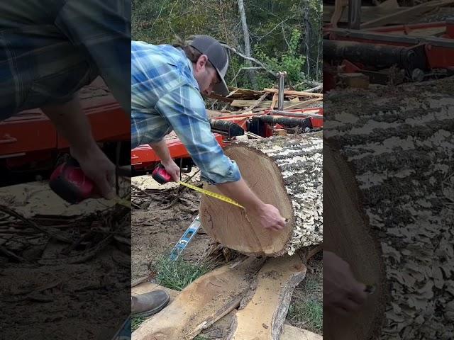 How do you find the diameter of a log #diameter #logging #lumber