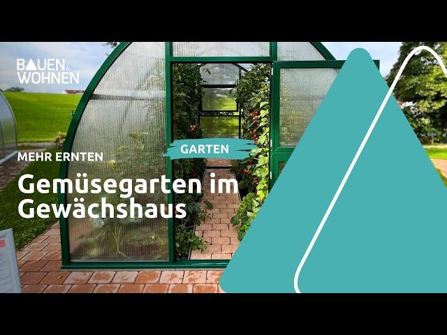 Gewächshaus kaufen: Standort und Anbau von Gemüse I BAUEN & WOHNEN