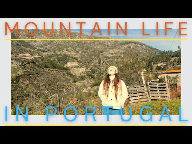 Mountain Life In Portugal | Hiking And Homesteading In January