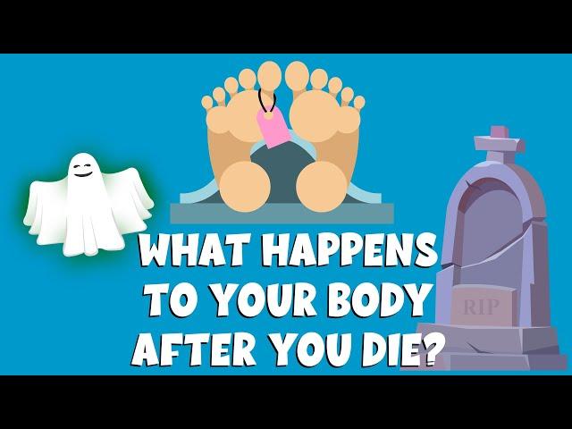 What happens to your body after you die | The Stages of Human Decomposition | Video for kids