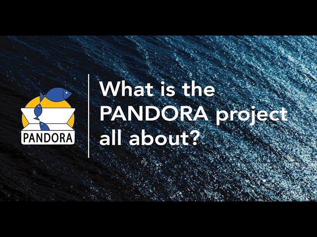 PANDORA Video - Introduction