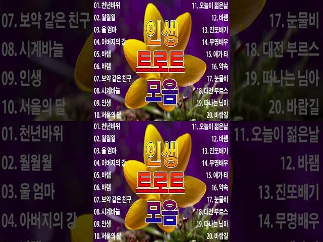 인생 트로트 모음 | 트로트 신곡 메들리 | PLAYLIST