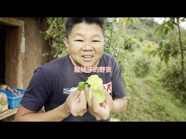 This kind of wild fruit is so sour that it doubts life. Xiao Liu eats out a facial expression packa