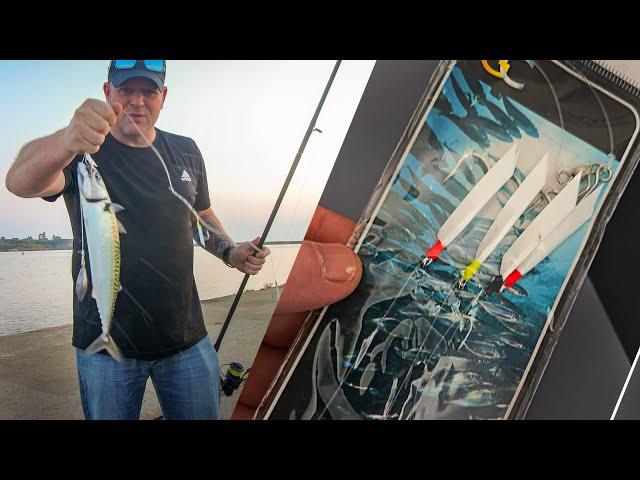 How to Catch Mackerel - Fishing from the Pier at First Light