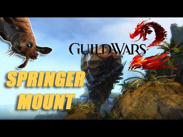 GW2 - How to Unlock Springer Mount