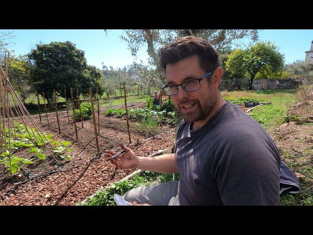 Winter Sowing and Planting in our No Dig Garden - Gardening in Portugal