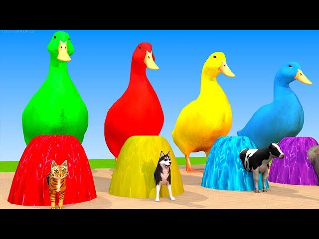 Baby duck cartoon vs dogs vs cats vs elephants and cows