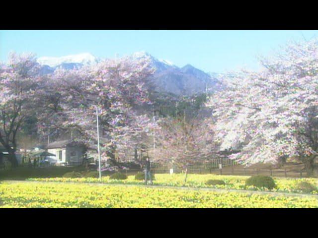 Mariya Takeuchi - A Door of The Life (Official Music Video)