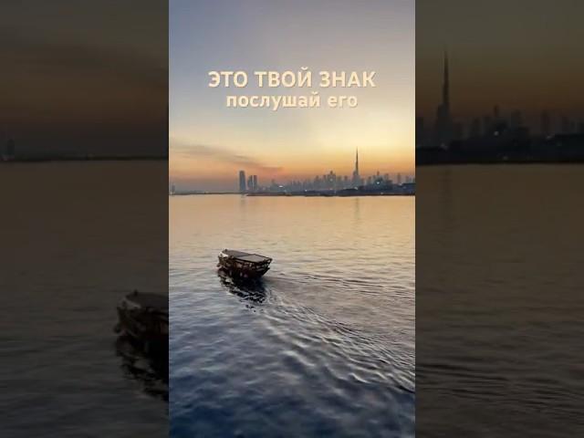 #цитатыпрожизнь #жизнь #цитаты #мудрость #любовь #жизнь #успех #психология #highlights #subscribe