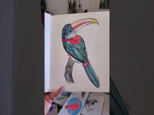 Birbfest Update #Birbfest2024 #Birbfest #BirdArt #Sketchbooks #Birds #Art #artist