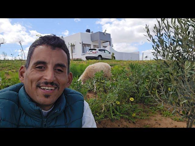 رجعنا كنجريو الفيرمة جانا اتصال مكانش عالبال هاشنو وقع لينا مع .......