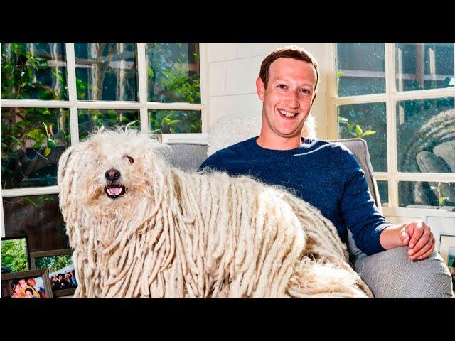 A Day in the Life of Mark Zuckerberg