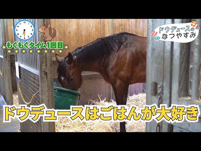 【独占映像】ドウデュースのなつやすみに密着！