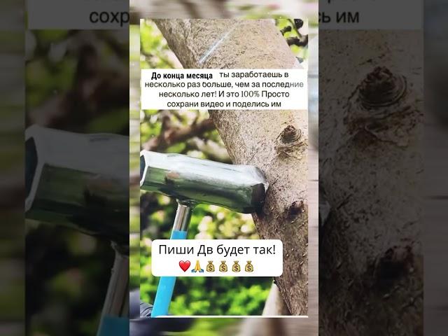 #дабудеттак #изобилиевселенной  #привлечьденьги  #наденьги  #аффирмации  #shorts