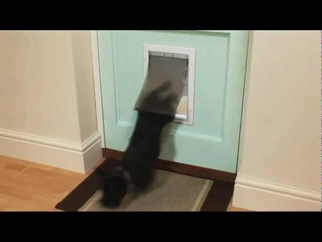 Staywell® Aluminium Pet Door for Dogs & Cats