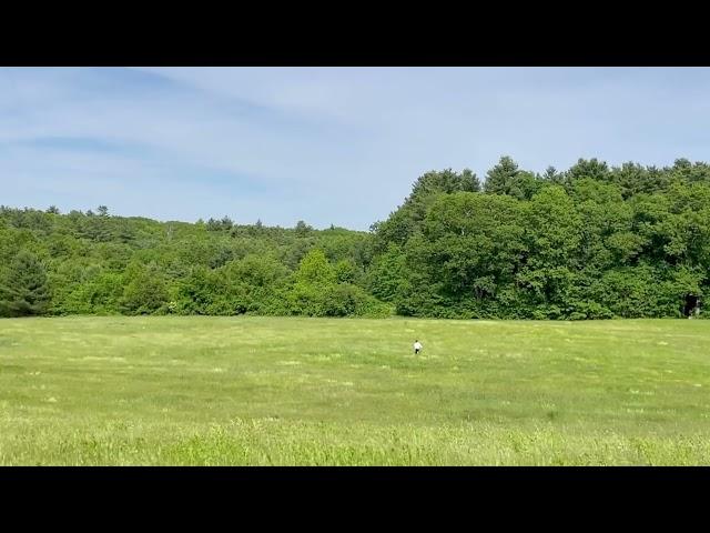 Mikey Creed - Lost (Official Music Video)