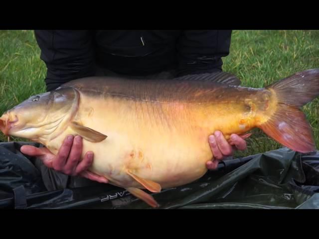 Alex Lister 'The Breeze Block' 35-08lb The Avenue