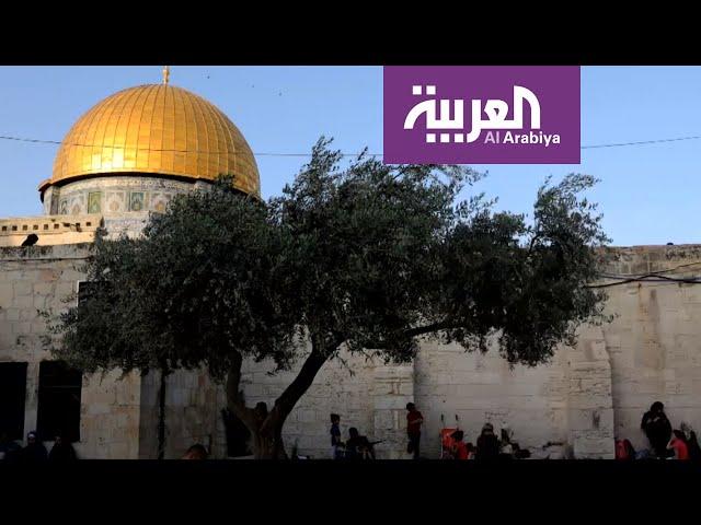 بنود مسربة من خطة ترمب للسلام
