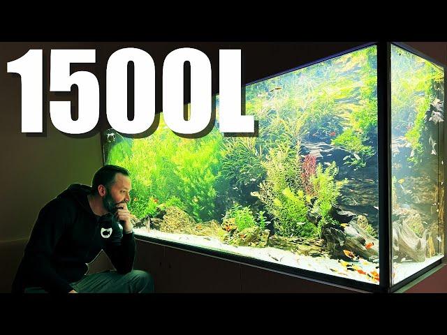 Steffen's opaque 205x90x80 freshwater aquarium in incredible condition!!!