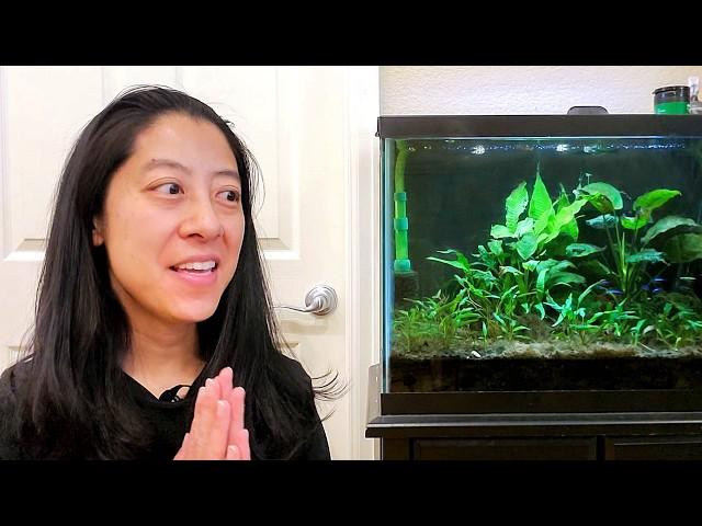 I Tried to Rescue my Neglected Aquarium…