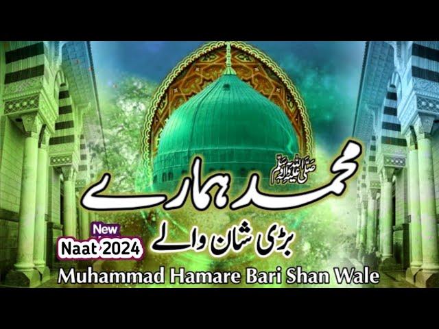 Muhammad Humary Bari Shan Waly | Beautiful Naat 2024 | New Naat 2024