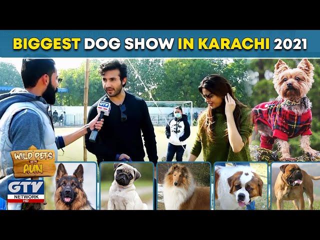 Biggest Dog Show in Karachi | Wild Pets | Season 2 | 24 January 2021