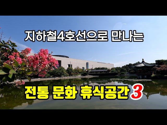 전통가옥과 배롱나무의 조화 | 과거와 현대 미래의 만남