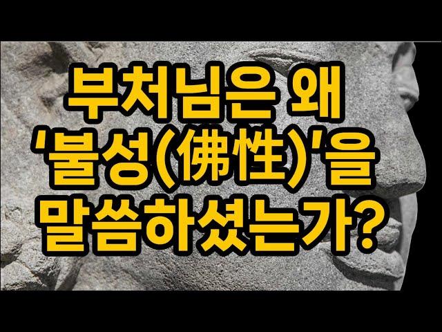 부처님은 왜 ‘불성(佛性)’을 말씀하셨는가?, 니까야 금강경