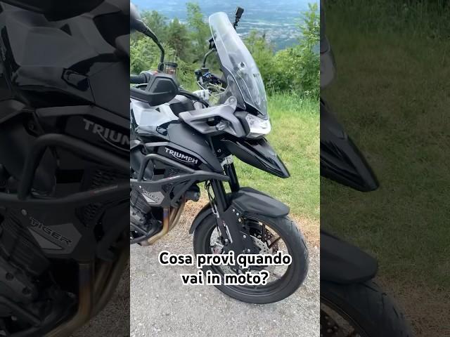 Passione ️ #love #reels #viralvideo #motovlogitalia #bikelife